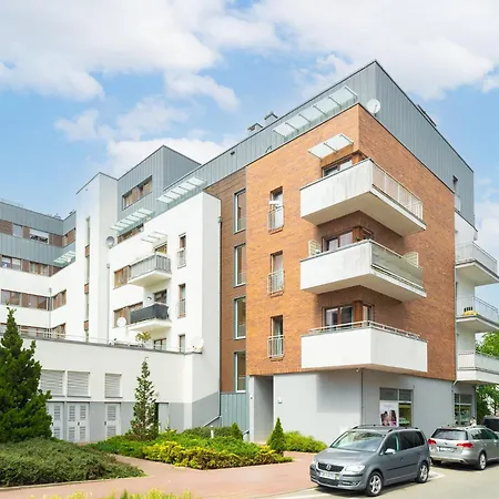 Ostsee Platan Premium