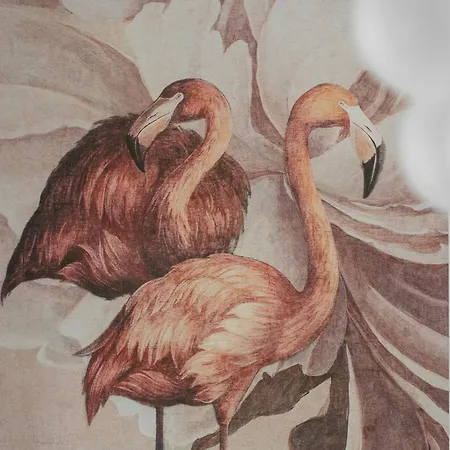 Apartamento Ostsee Platan Premium